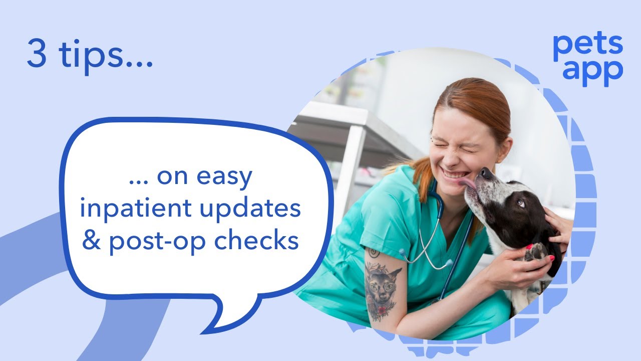 3 tips... on easy inpatient updates & postop checks · Veterinary