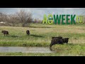 AgweekTV Full Episode 02/03/24 S10E05