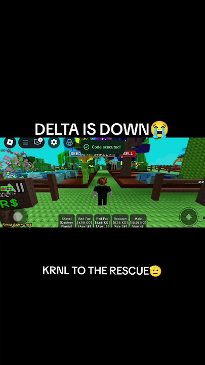 THE BIGGEST COMEBACK OF KRNL EXECUTOR! | #shorts #roblox #growagarden #growagardenscript #petspawner