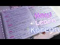 Как я учу корейский язык | как легко выучить корейский