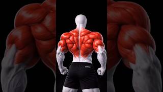 "Back day: The ultimate test. ⚡" #fitness #gym #workout #gymmotivation #fitfam #bodybuilding
