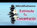 #Mindfulness#Concentración, Mindfulness, Calma *Estimulación de la Concentración* | Amanda Lis