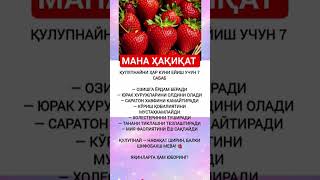 🍓#xabarlar #uzbekistan #ibratlisozlar #youtube #tezkunda #rek #foydali #shorts #tezkor