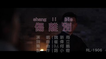 魏新雨 | 傷離別 | (DJ版) | (1080P)KTV