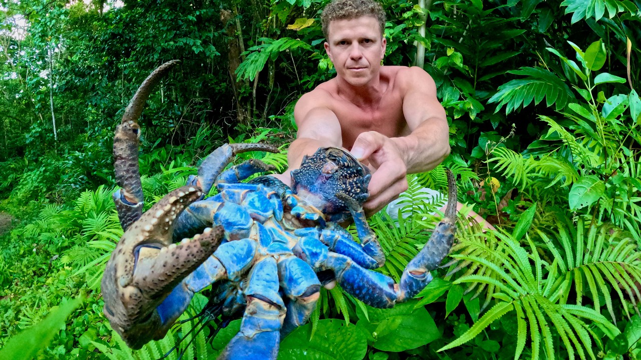 Giant Crab Hunt, Spearfishing & Bushcraft (Remote Island)