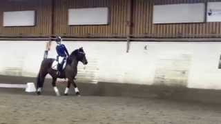 20150404 Dimmans Electra och Kajsa Lätt B:1 P&R travprogrammet