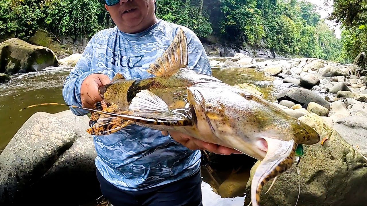 BKK - Viper-41 - A walk in the Jungle with Eddy Fishing