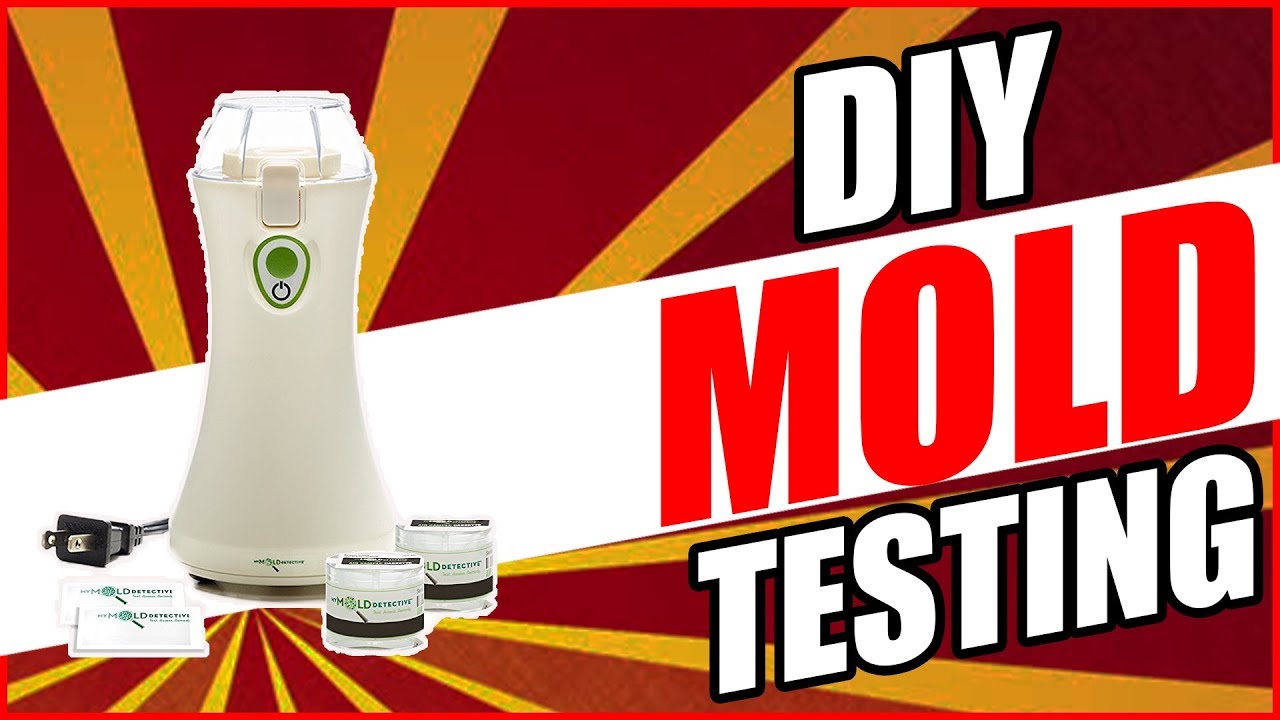 MyMoldDetective Review DIY Mold Testing - Test For Mold Cheap