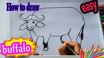 how to draw a buffalo,how to draw an African buffalo