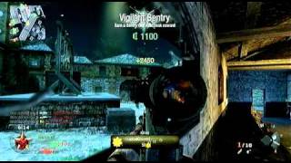 Black Ops - 1 Shot, 2 Kills... No Collateral + Dazzle Quality Test