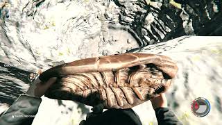 The Forest - Sliding down the Sink Hole with turtle shells