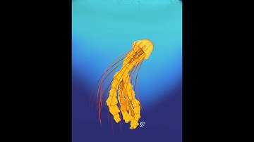 Ascending Jellyfish Procreate Painting Time-lapse