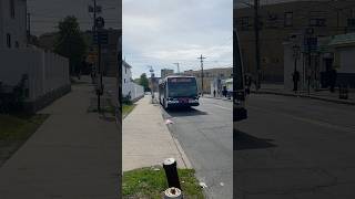 MTA NYCB: 2015 Nova Bus LFS #8491 on the S46 to West Shore Plaza at Castleton Av/Jewett Av