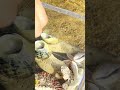 KIDS! 🌊🦀I built the coolest TIDE POOL AQUARIUM!! ⭐️🐠