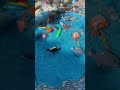 【シーモンスターズ＆co】#深海生物#海#クジラアンドコー#シャークアンドコー#シーモンスター#クジラアンドコー#水遊び#子どもと遊べる#外遊び#子育て#男の子ママ#プール#魚#おもちゃ#shorts