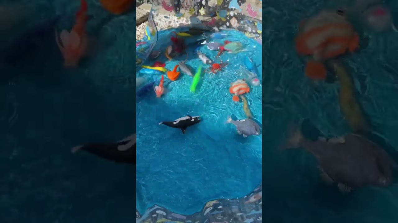 【シーモンスターズ＆co】