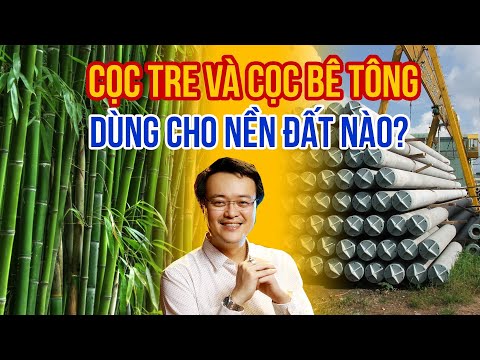 Video Cọc Tre và Cọc Bê Tông dùng cho nền đất nào? Lưu ý khi... - youtube