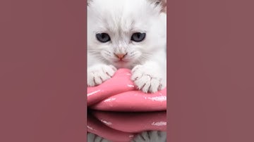 Satisfying Cat Playing with Slime 🐾 #satisfying #asmr #relaxing #viral #ai #cat #funny #kids #fyp