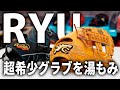 RYUグラブ&ザナックストラストエックスを型付け【湯もみ型付け】