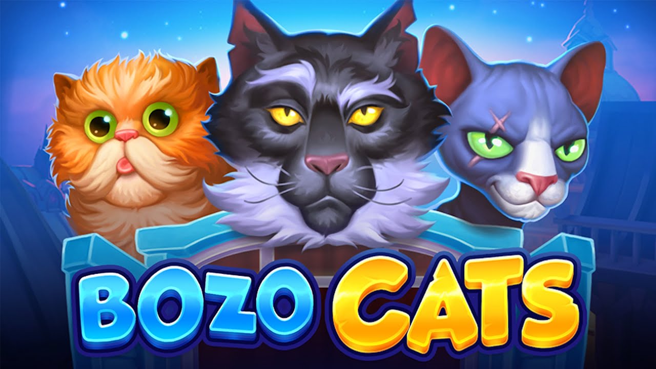 Cat casino где играть. Bozo Cats. Слот Cat. Слот с кошками. Слоты Playson.