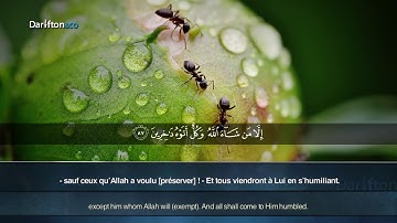 137 Sourate An Naml 83 93 Raad Muhammad Al Kurdi سورة النمل رعد محمد الكردي