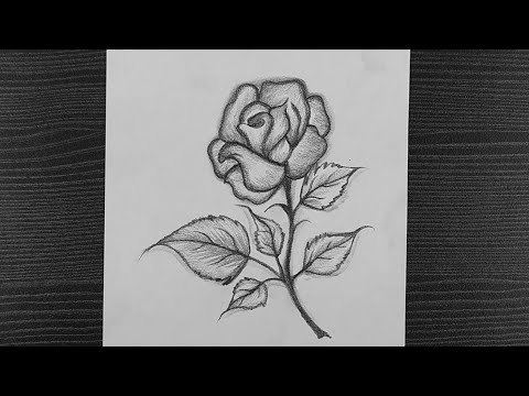 Aggregate more than 82 beautiful sketches of roses super hot