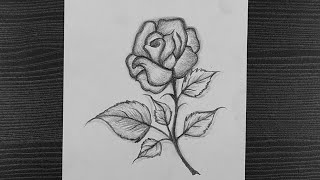 pic Rose Easy Flower Vase Pencil Drawing how to draw a rose easy with pencil
