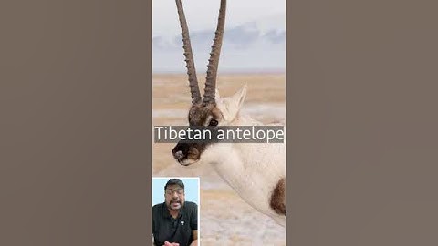 Know about Hemis Biggest National Park | By Sumit Konde #upsc  #ias  #pcs #geography #upscmotivation