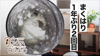 #耳掃除 1年ぶり2回目、まくはり。