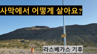 사막에서 어떻게 살아요?.. 라스베가스 날씨