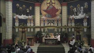 10am Mass Sunday