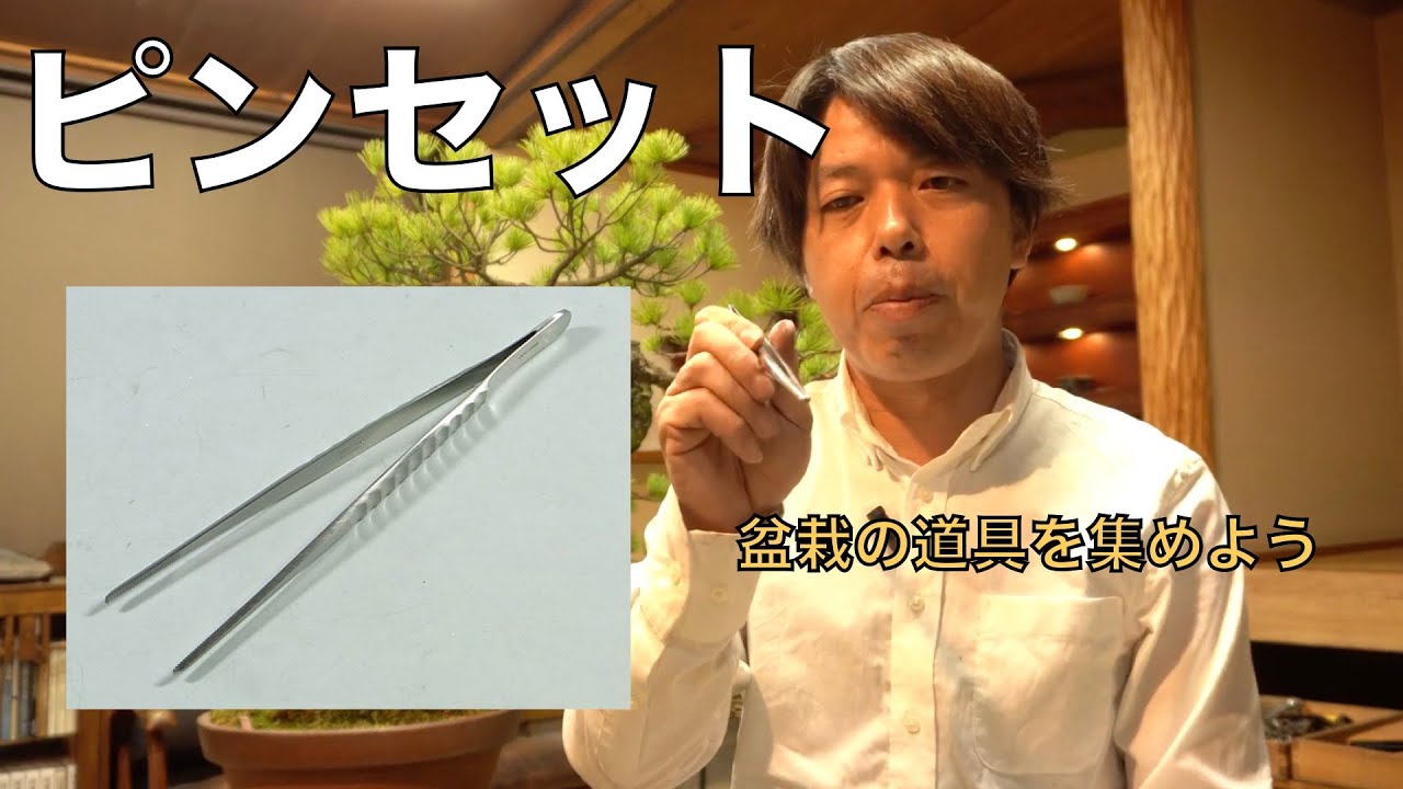 盆栽道具] ピンセットの選び方 - YouTube