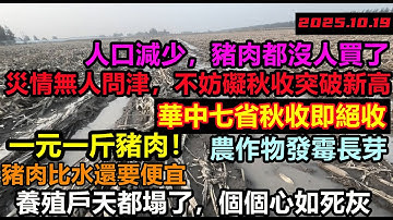 豬肉價格下滑至1元一斤，人口驟降豬肉都賣不掉！養殖戶每家每戶都虧到破產，華中七省秋收成絕收，無人問津，農作物被泡長出芽爛地裡，水稻上山技術再卡西方脖子上萬年，好好的莊稼被挖平|#退林還耕#農管