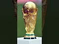 How a Dog Saved the World Cup
