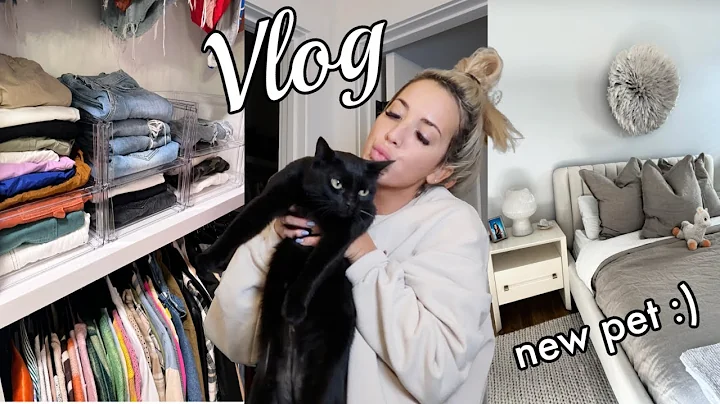 Couple Days in my life | New pet, Skincare, Declut...