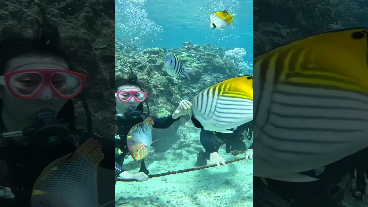 Abandono de M. W. Craven | Audiolibro | Thriller Criminal