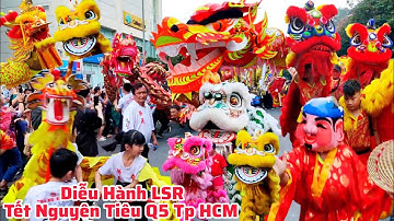 Hàng Trăm Lân Sư Rồng Diễu Hành Lễ Hội Tết Nguyên Tiêu Q5 Tp HCM/Múa Lân Tết 2025 Cực Vui