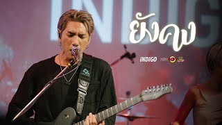 ยังคง - INDIGO [Live] @ RINMA