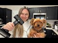 See How This Pet Steam Brush Worked On My Yorkie | 5 in 1 Pet Grooming & Steam Brush Review