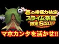 【ドラクエタクト】限定Sなしで春のマスターランク検定「スライム系統」攻略！マホカンタを活かして攻略すべし！！