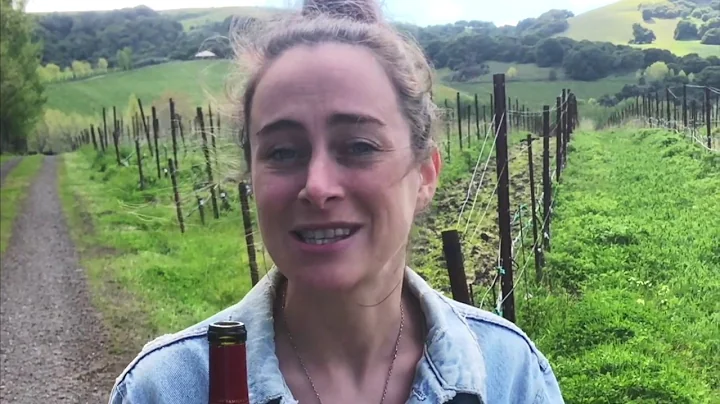 Cline Pinot Noir
