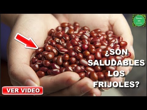 Video: ¿Los frijoles refritos no contienen gluten?