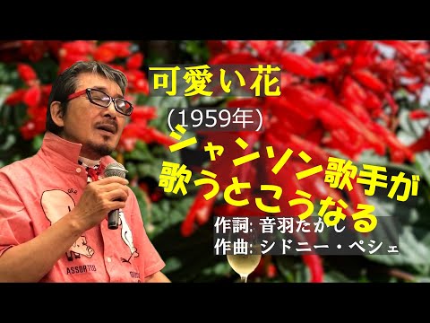 「可愛い花」 字幕付きカバー 1959年 音羽たかし作詞 シドニー・ペシェ作曲 ザ・ピーナッツ 若林ケン 昭和歌謡シアター　～たまに平成の歌～