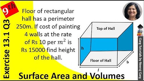 The floor of a rectangular hall has a perimeter 250m | Class 9 Maths Ch 13 Ex 13.1 Q3