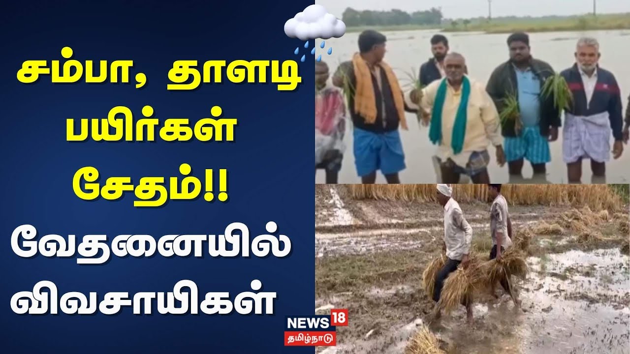 Cyclone Ditwah Impact | சம்பா, தாளடி பயிர்கள் சேதம் - வேதனையில் விவசாயிகள் | Crop Damage | TN Rain