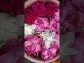 toota jo kabhi tara sajna ve #beautiful #girl #pretty #lotus #tigershroff #song #lyrics