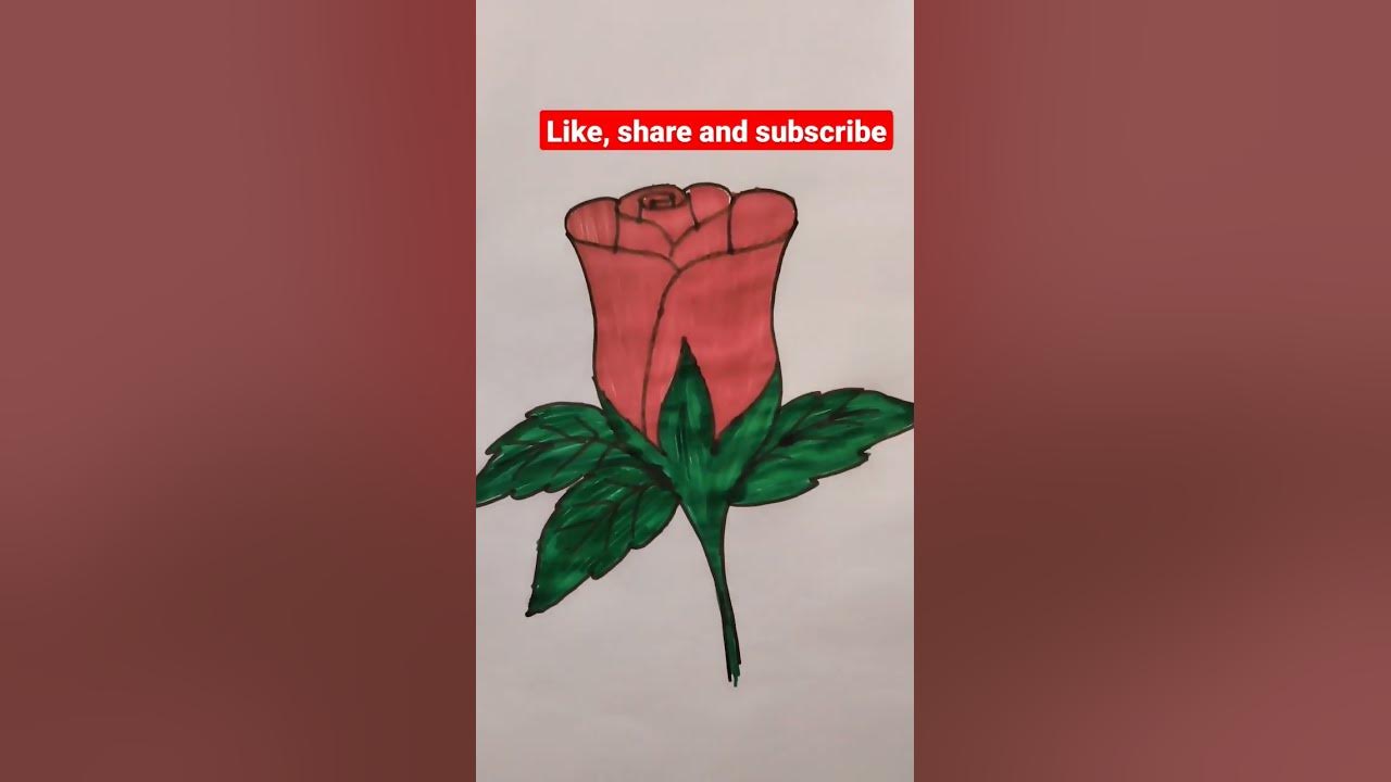 easy-rose-drawing-with-editing-satisfy-song-2023-how-to-make-a-rose