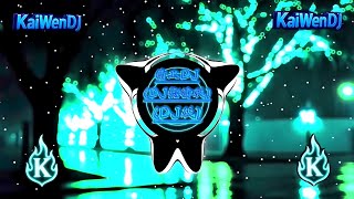 精卫dj - (DJKK) (DJ热播版) Jingwei (DJ抖音版2025) (TikTokRemix) (DJKK Remix)