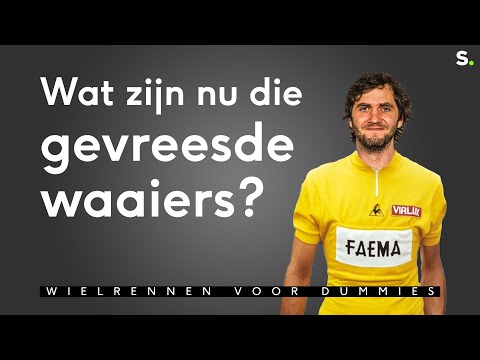 Video: Wat Zijn Veldsla's?