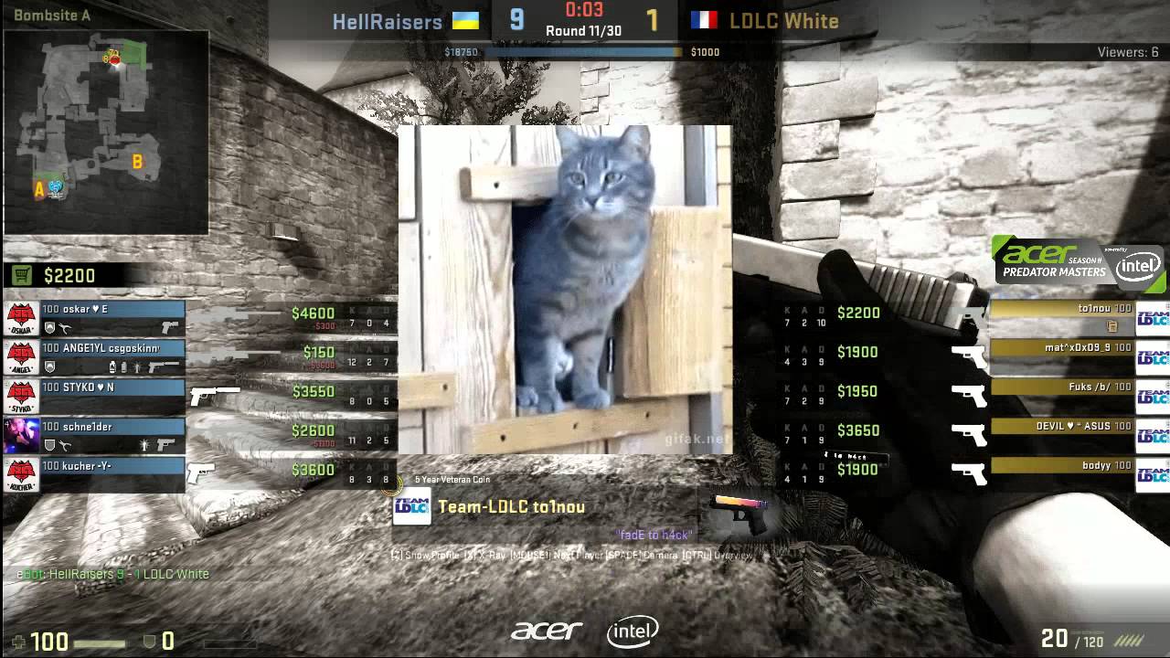 APM S2: HellRaisers vs LDLC White (Cobble)